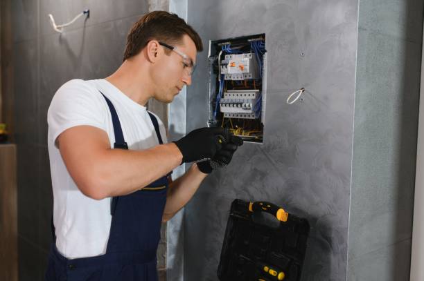 Best Electric Panel Repair  in Boles Acres, NM