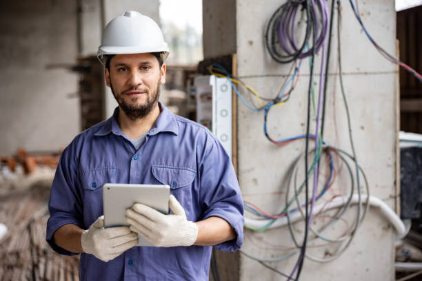 Best Electric Panel Repair  in Boles Acres, NM
