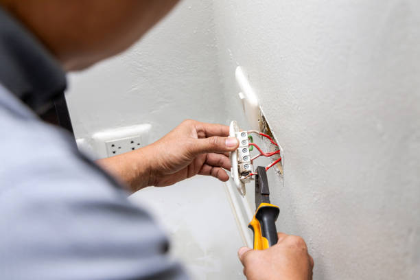 Best Electrical Troubleshooting Services  in Boles Acres, NM